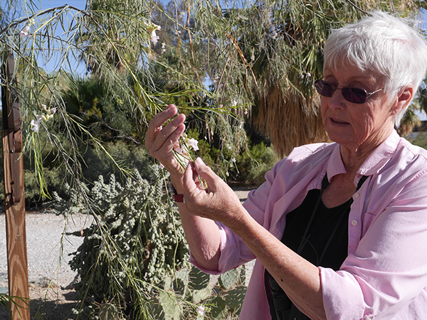 Pat Flanagan Nature Walk Oasis of Mara